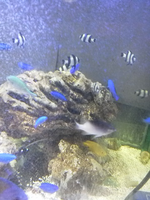 DSC_2601.jpg