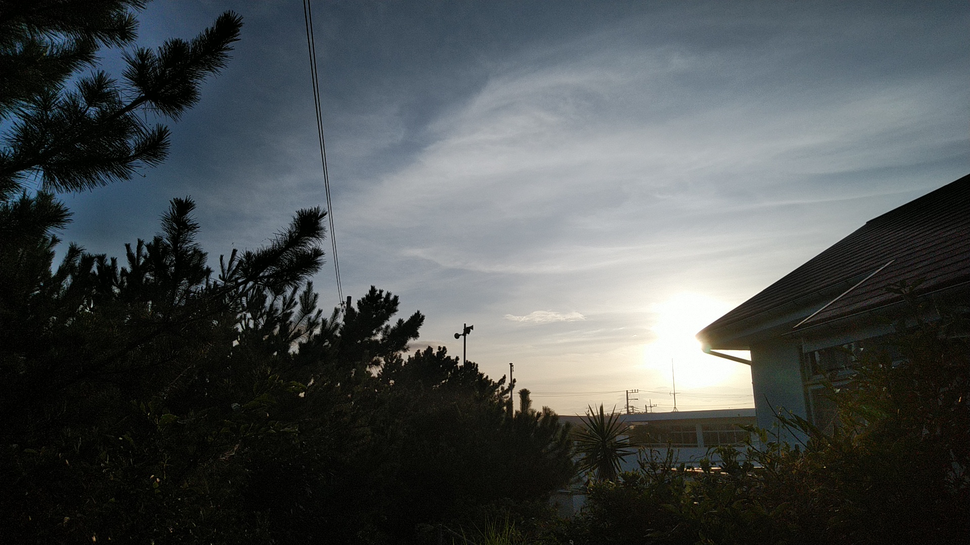 20190812  DSC_0009.jpg.jpg