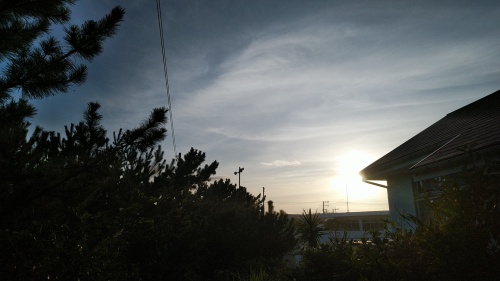 20190812  DSC_0009.jpg.jpg