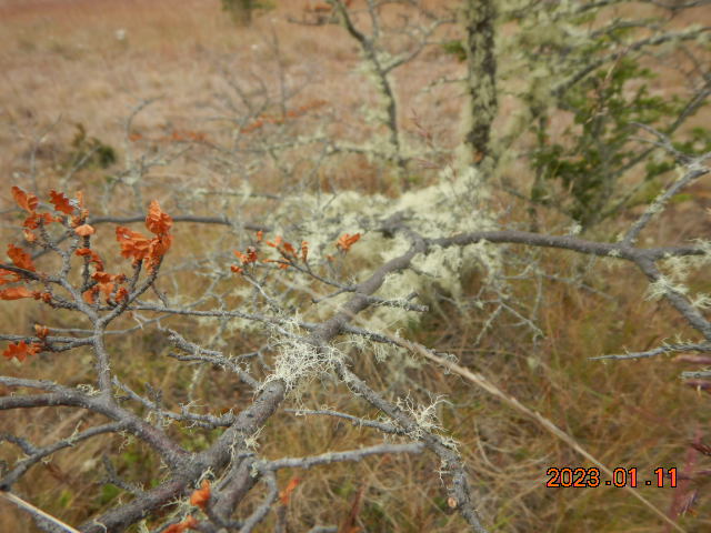DSCN1394.JPG