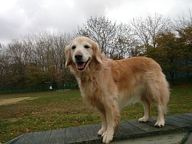 DSC_0092.jpg
