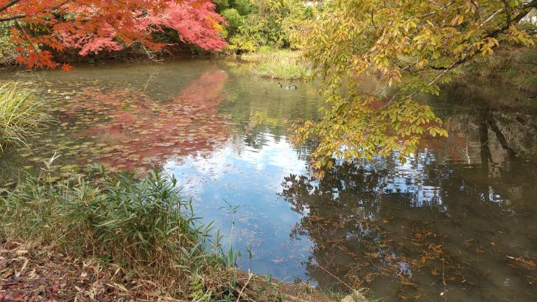 八十八か所お山めぐり (8).jpg