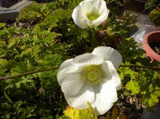 DSCN0622.JPG