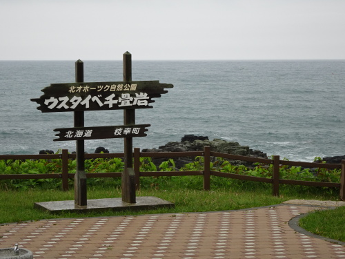 DSC03561-1　北オホーツク自然公園　ウスタイベ千畳岩  からオホーツクラインに戻る道は　カモメが非常に多いです.JPG