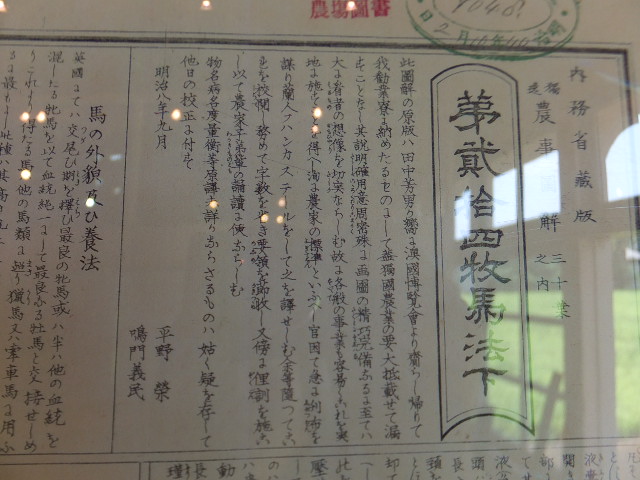 DSCF2765.JPG