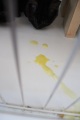 子猫嘔吐.JPG