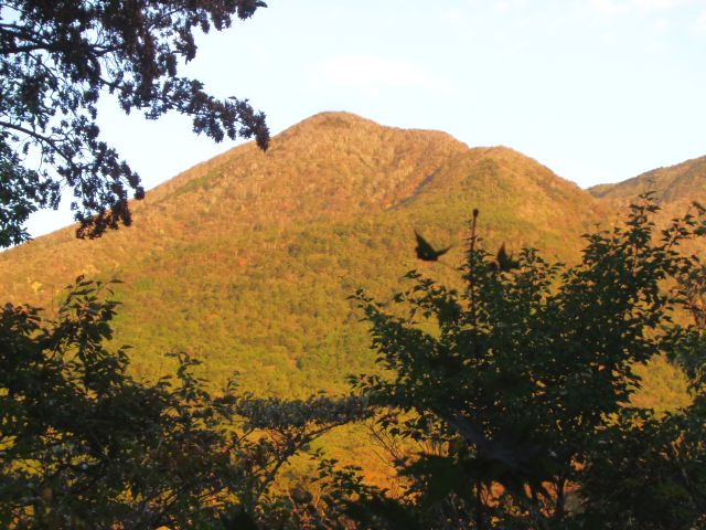 241024kurooyadake.jpg