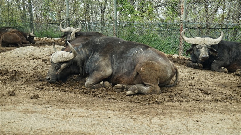 20150420 12250301.JPG