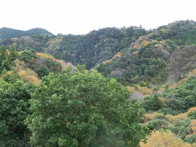 天気上々.jpg