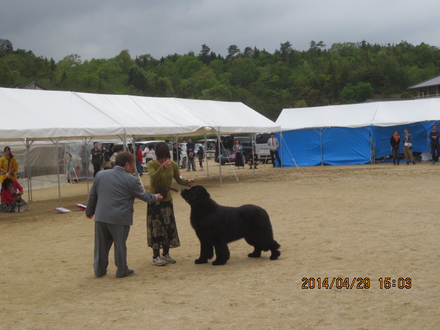 IMG_0706.JPG