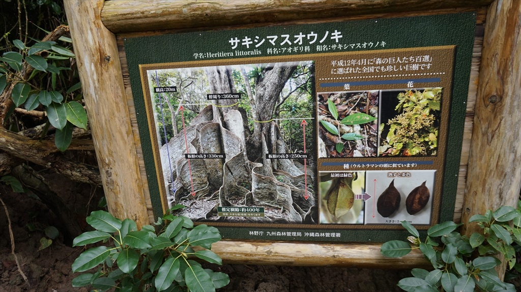 20150223 11385001.JPG