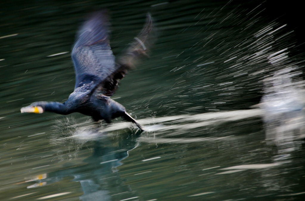 B97A2528 (1024x677).jpg