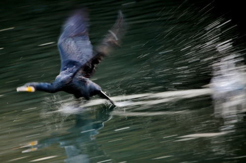 B97A2528 (1024x677).jpg