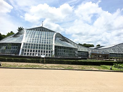 京都府立植物園.jpg