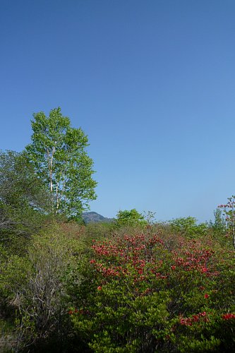 0526-3.jpg