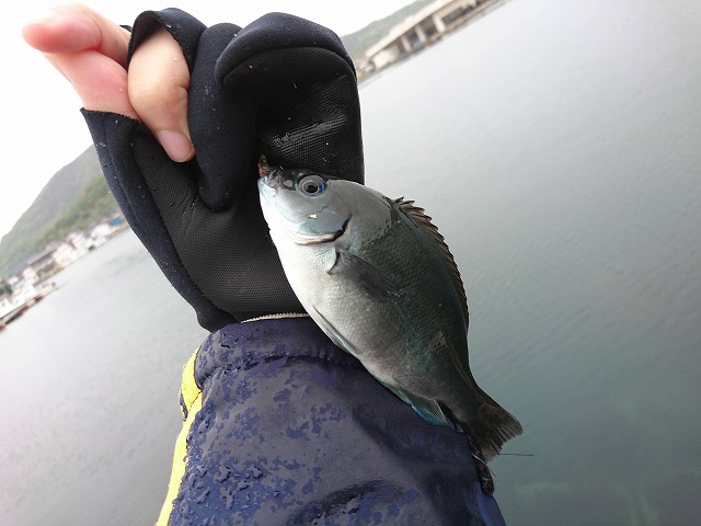 showPhoto (640×480)