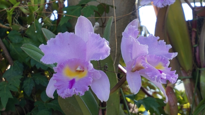 20160127 11084001.JPG