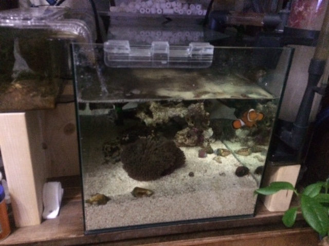 image1.JPG