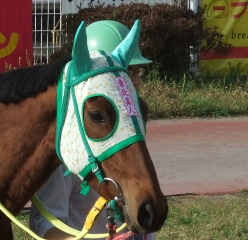 メンコに東北美人