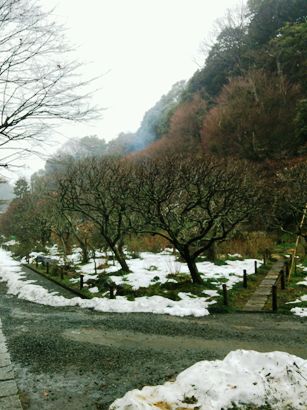 2雪景色.JPG