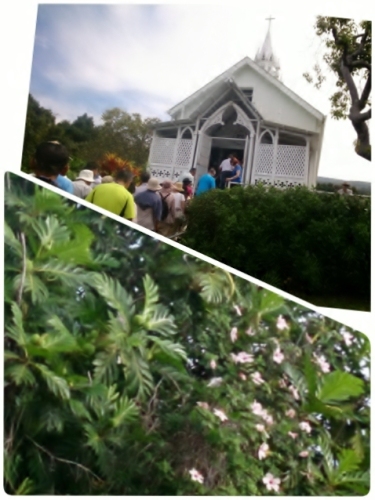 2014-10-02-16-15-43_deco (480x640).jpg