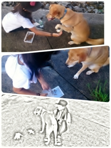 2014-08-06-10-15-37_deco (480x640).jpg