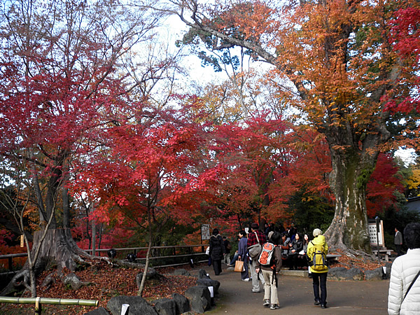 kitanotenmangu-3.jpg