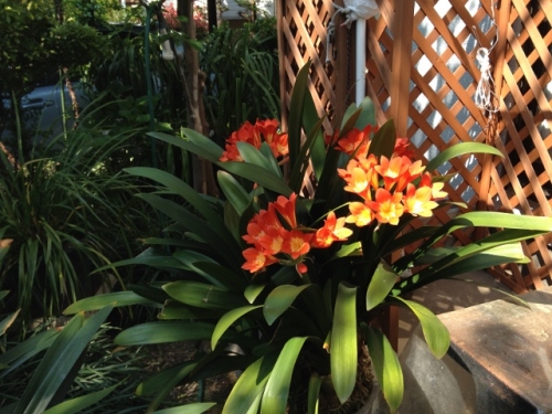 IMG_6989 (640x480).jpg