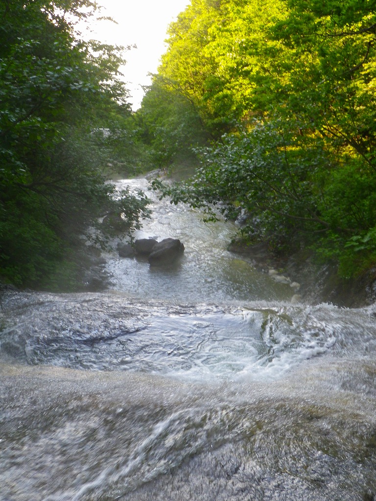 IMGP0407.jpg