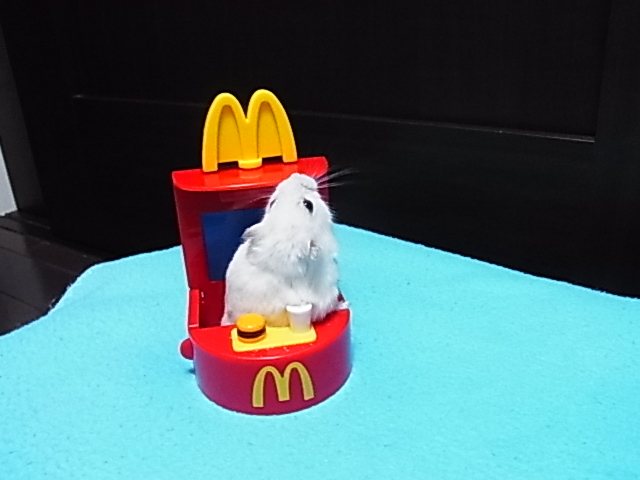 2014_06150844.JPG