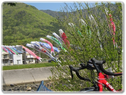 9302三篠川（鯉のぼり）_9302.jpg