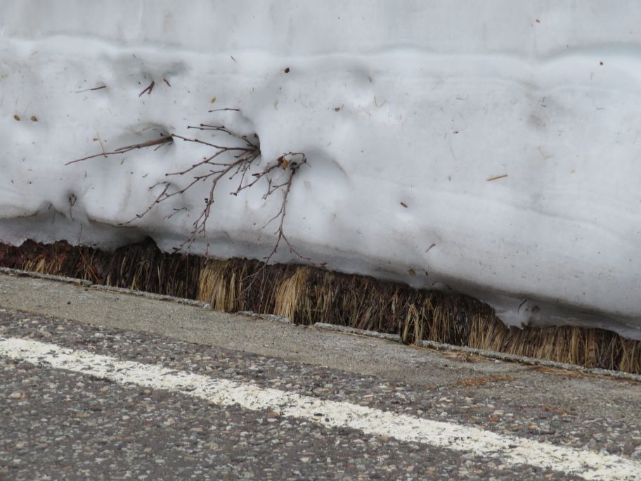 アルペンルート (48).jpg