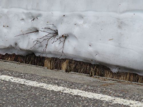 アルペンルート (48).jpg