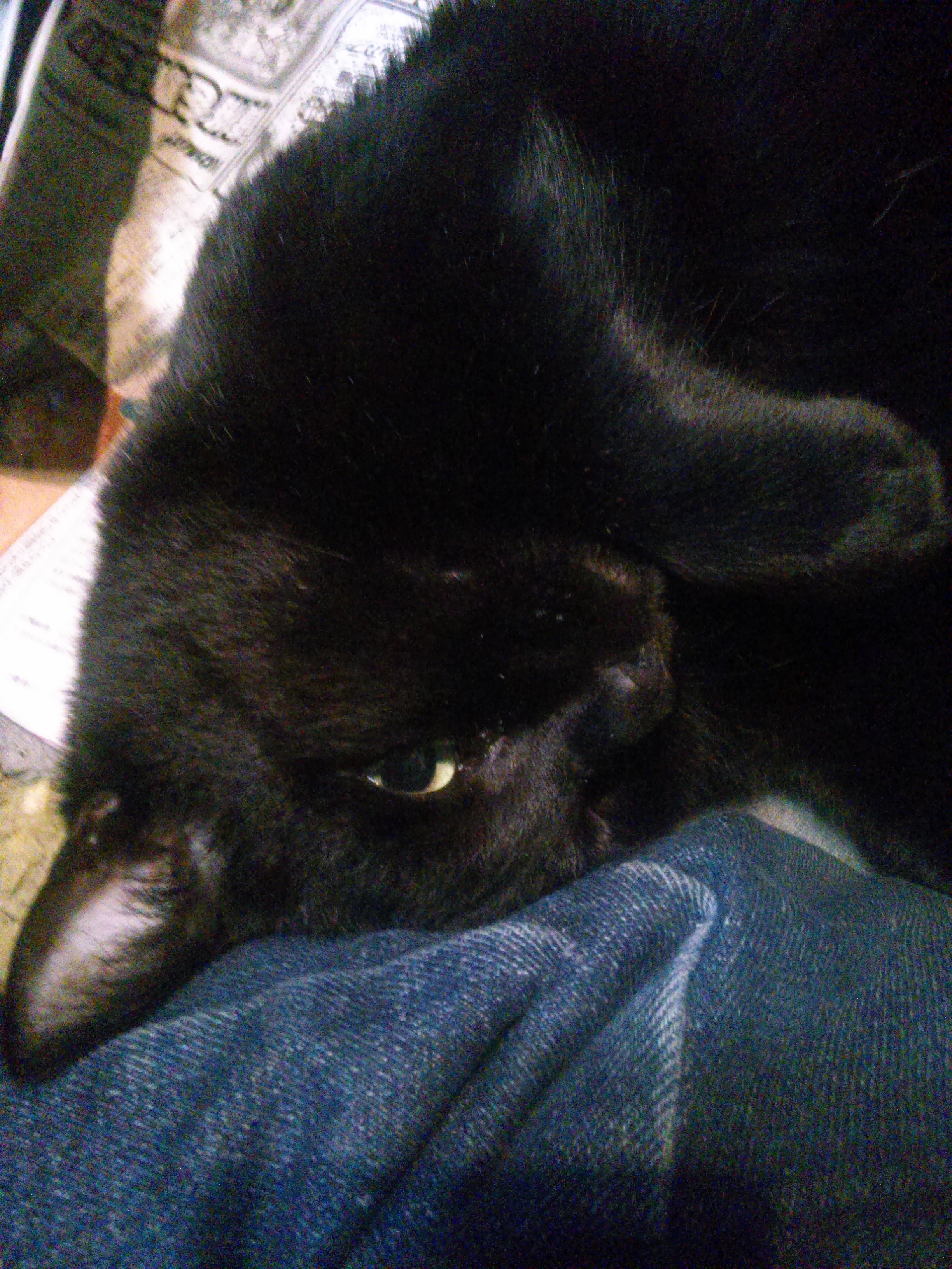 KIMG0465.JPG　スリスリ♪