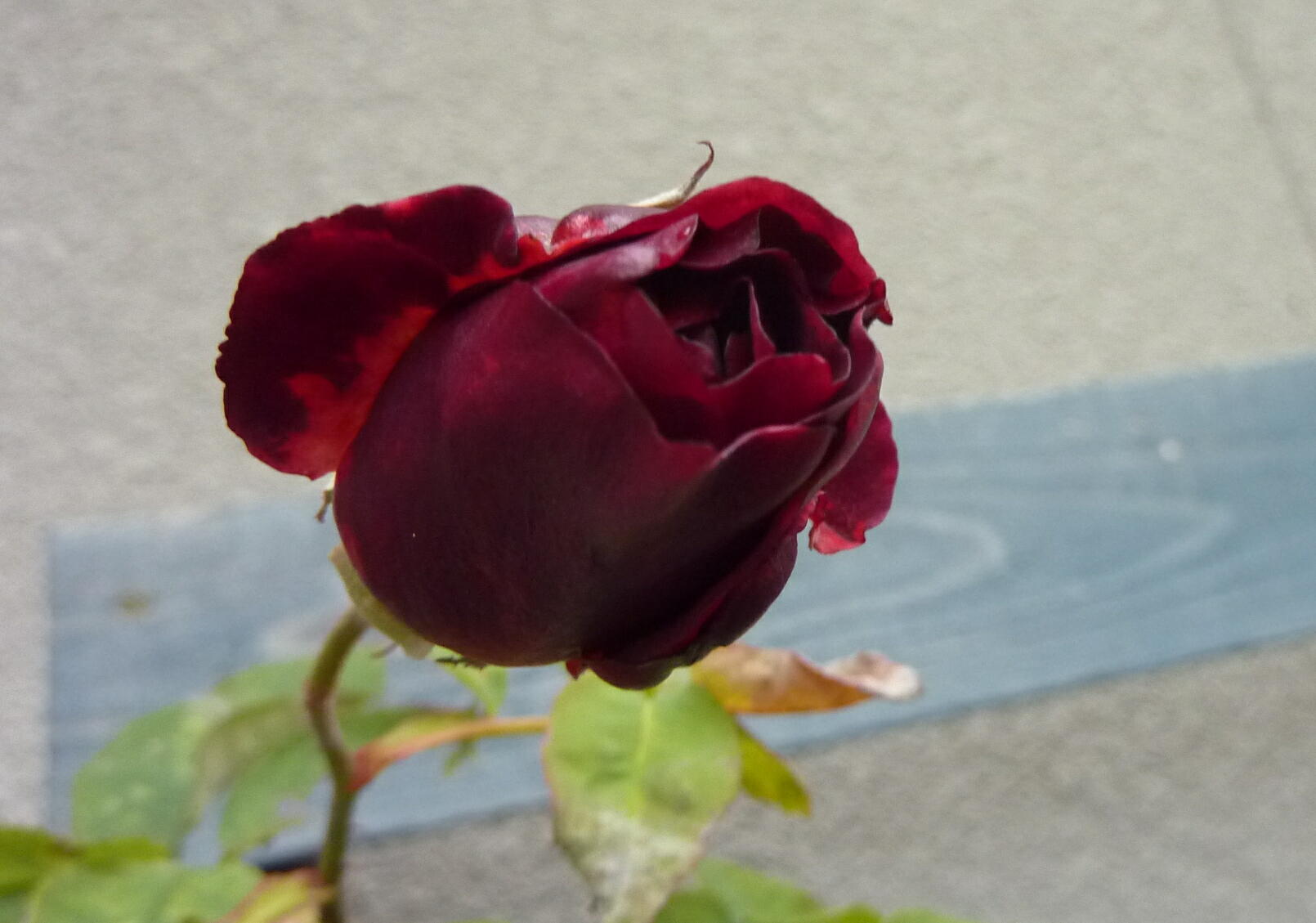 150104-5-8.jpg