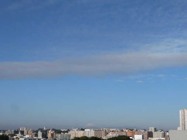CIMG3548.JPG