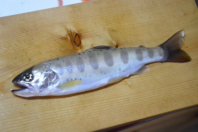 showPhoto (640×426)