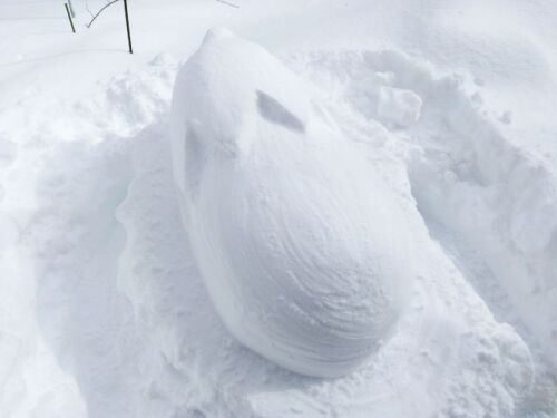 250209snowfig4.jpg