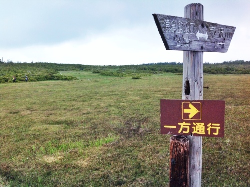 山頂台地ふち　田代山湿原.jpg