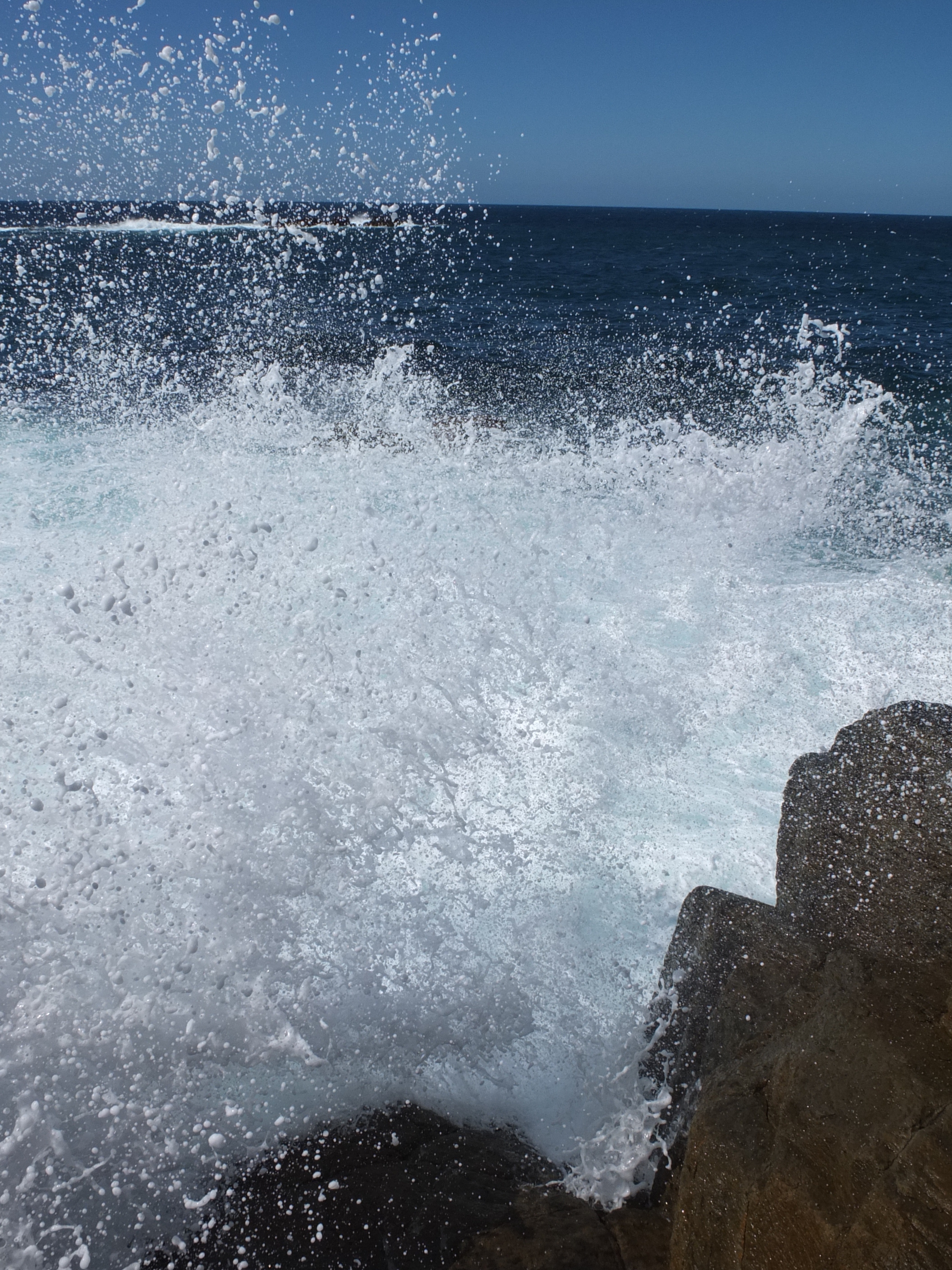 S0072693.JPG