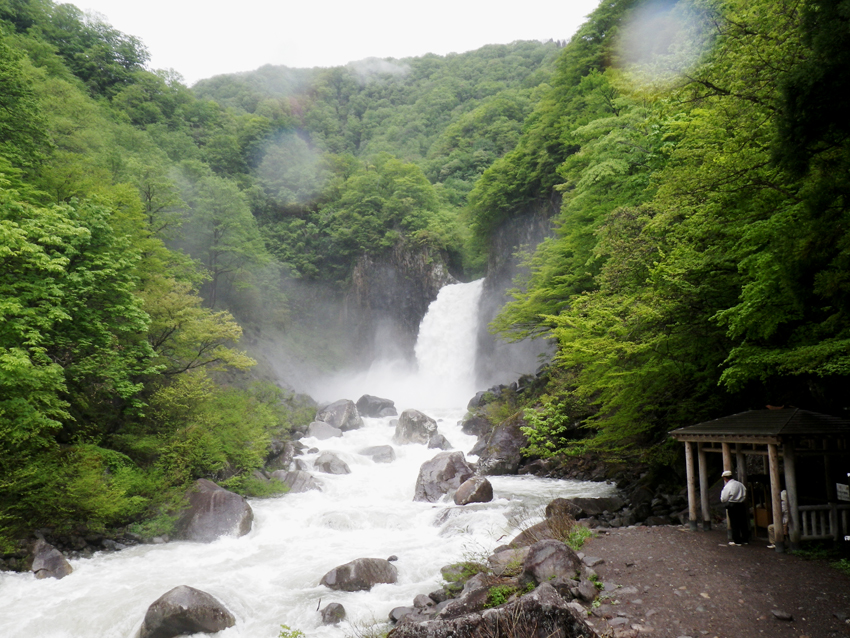 DSC_0019.jpg