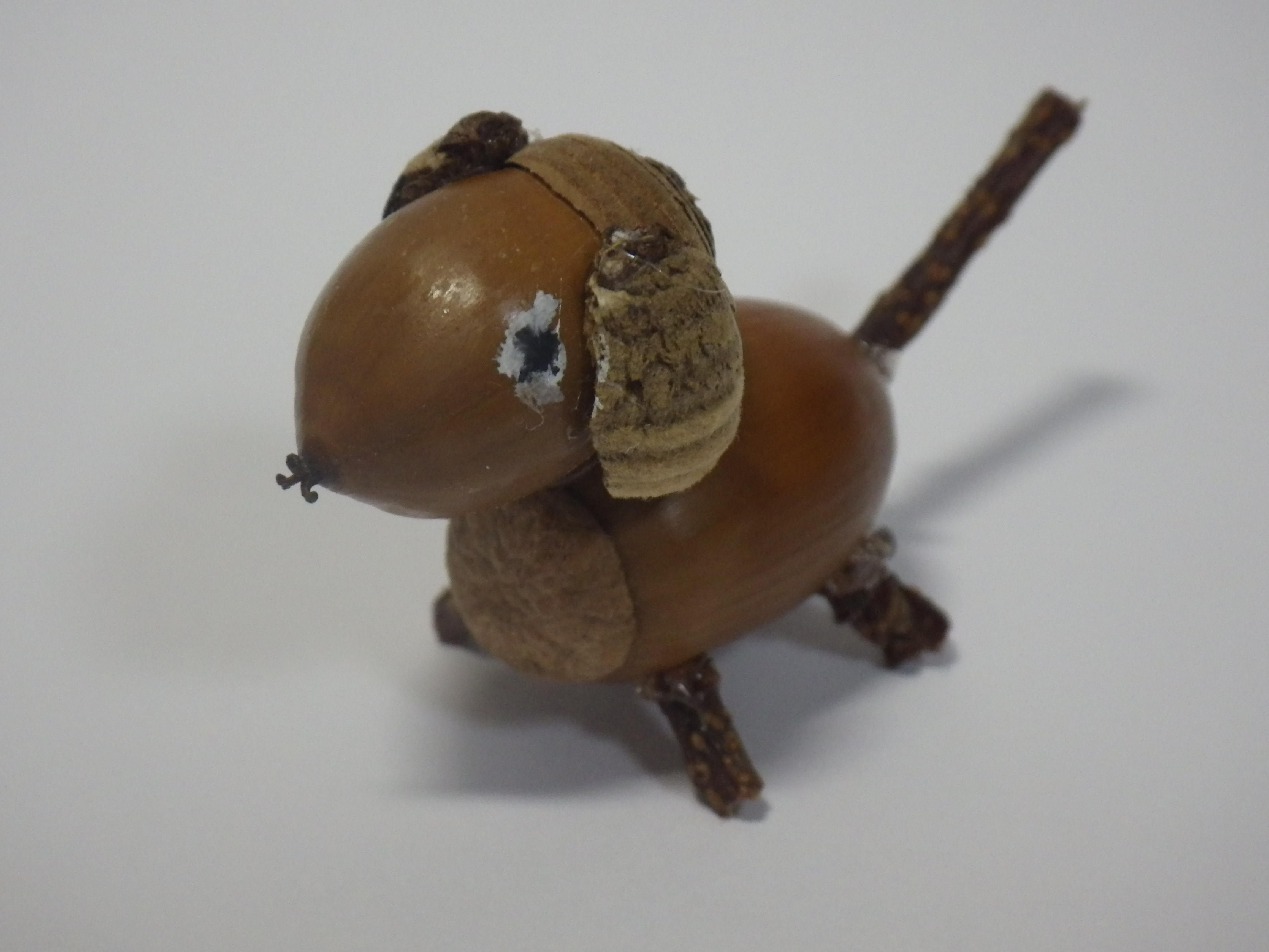 ダックスフングリ