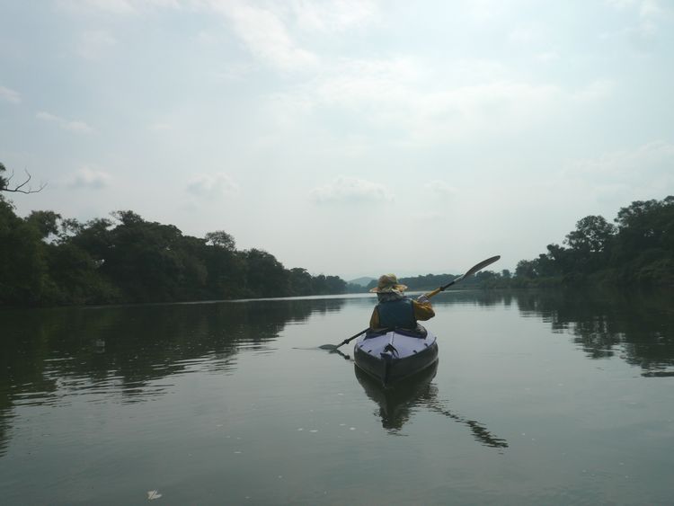 P1100012.jpg