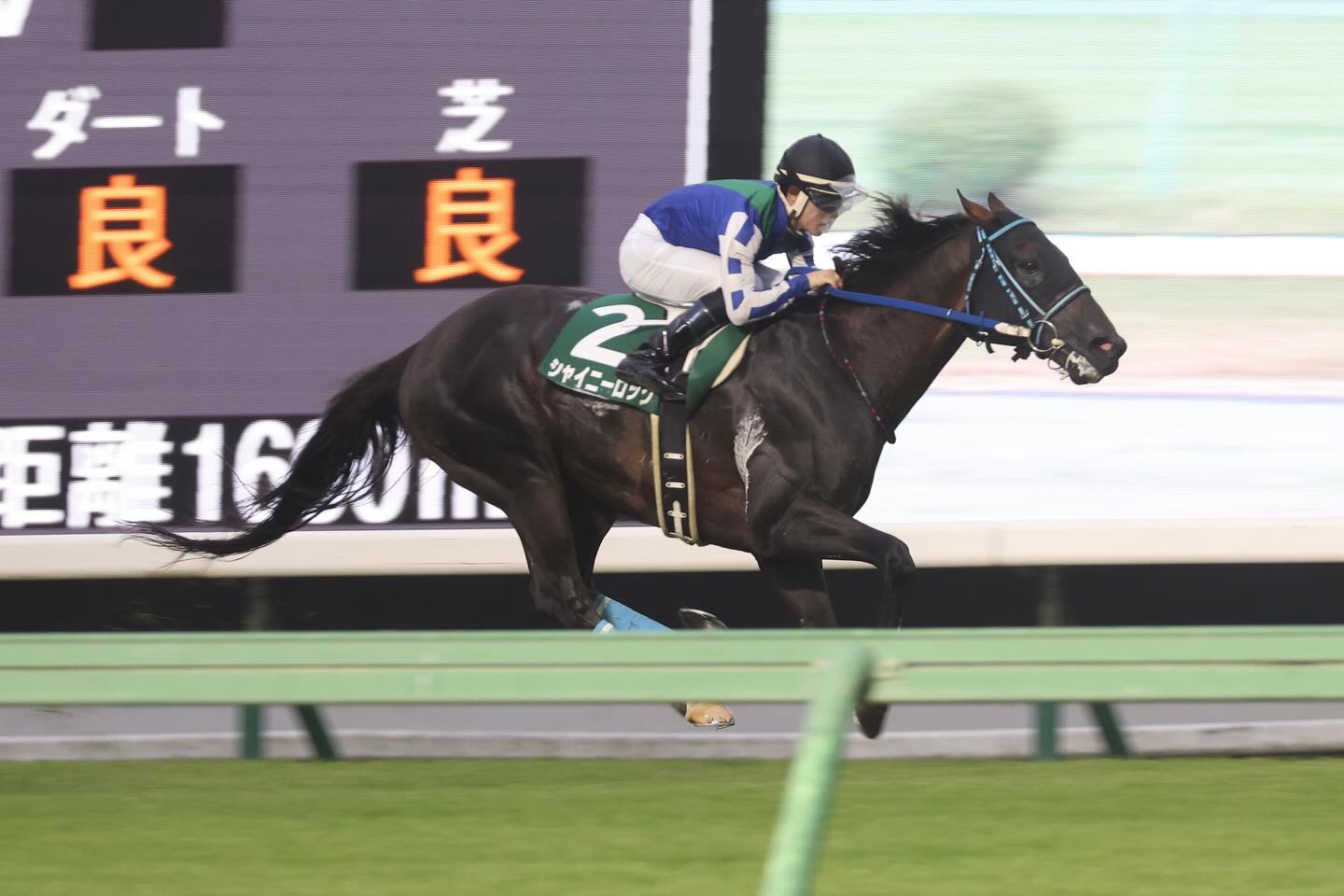 渡邊竜也盛岡重賞勝ちｃ.jpg