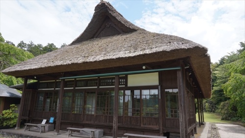 20150525 11103701.JPG