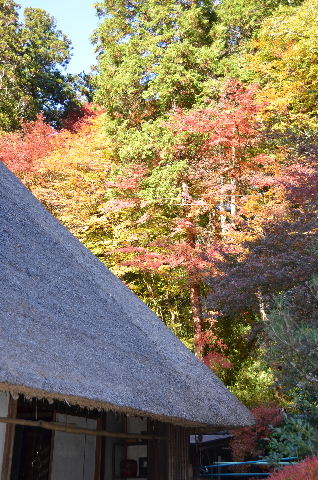 DSC_1669.JPG