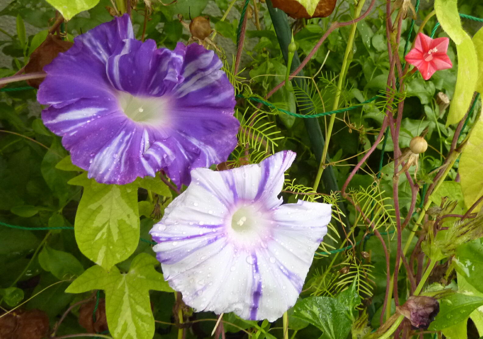 150906-2-8.jpg