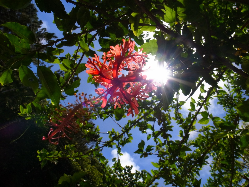 R0054153 (1024x768).jpg