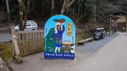 20160323 14252501.JPG