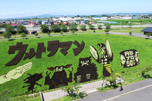 2013.8.2 田舎館村田んぼアート　その２.JPG